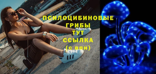 синтетический гашиш Алексин